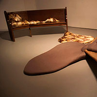 Vivero en Lusso, 2010